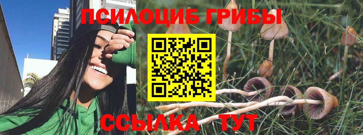 Кызыл  Псилоцибиновые грибы мухоморы  Галлюциногенные грибы Cubensis  Вход с VPN 