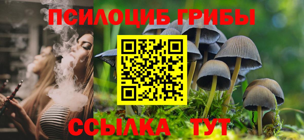 Галлюциногенные грибы мицелий Кызыл